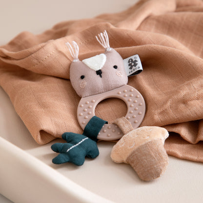 Zebra, Activation toy, Zappy the squirrel