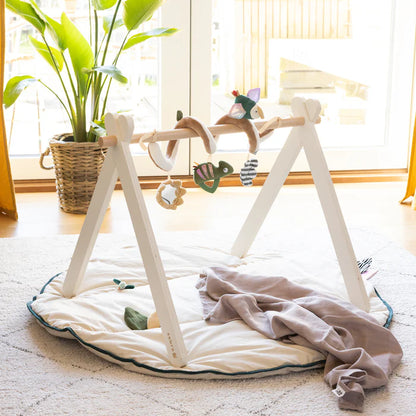 Sebra, Baby Gym