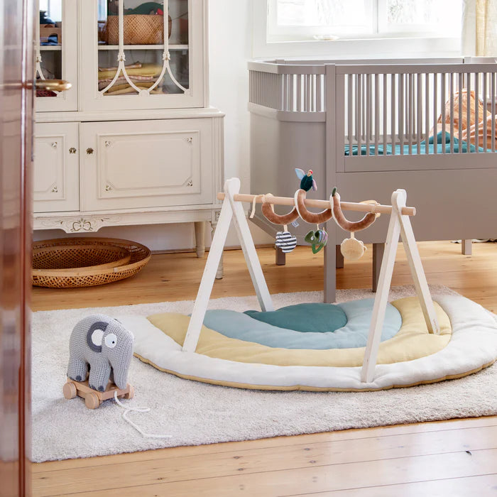 Sebra, Baby Gym