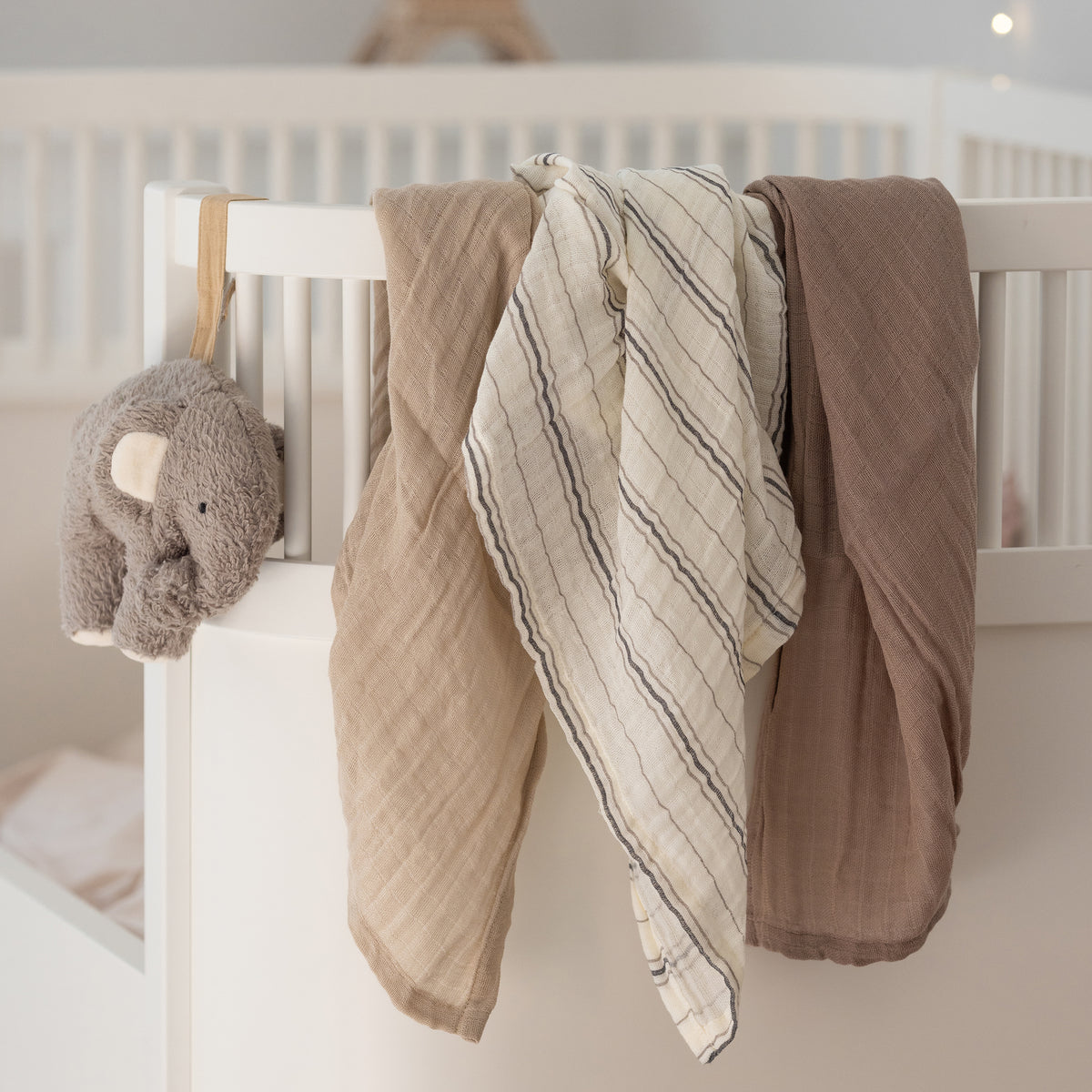 Zebra, Harsot 3-pack, Cream Stripe
