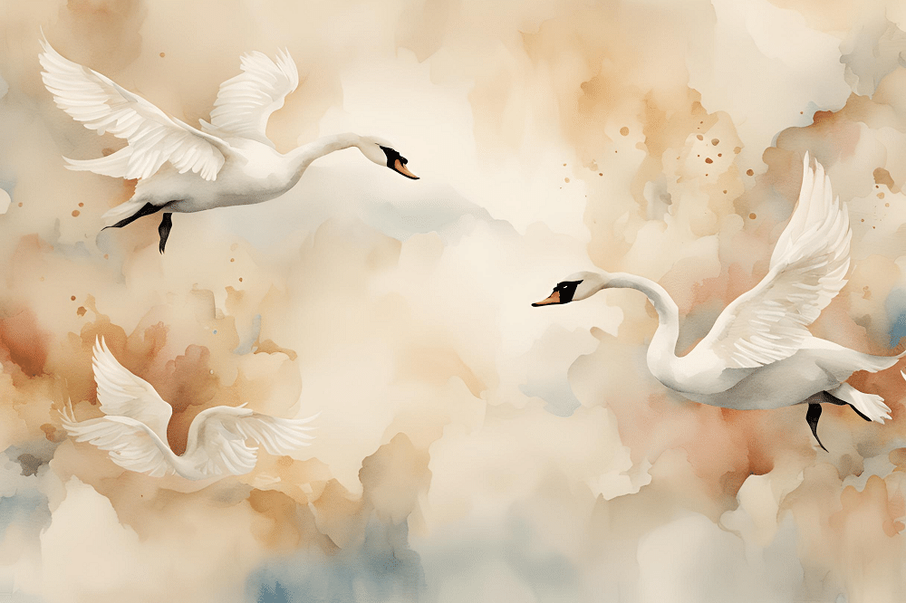 Photo wallpaper, Swans