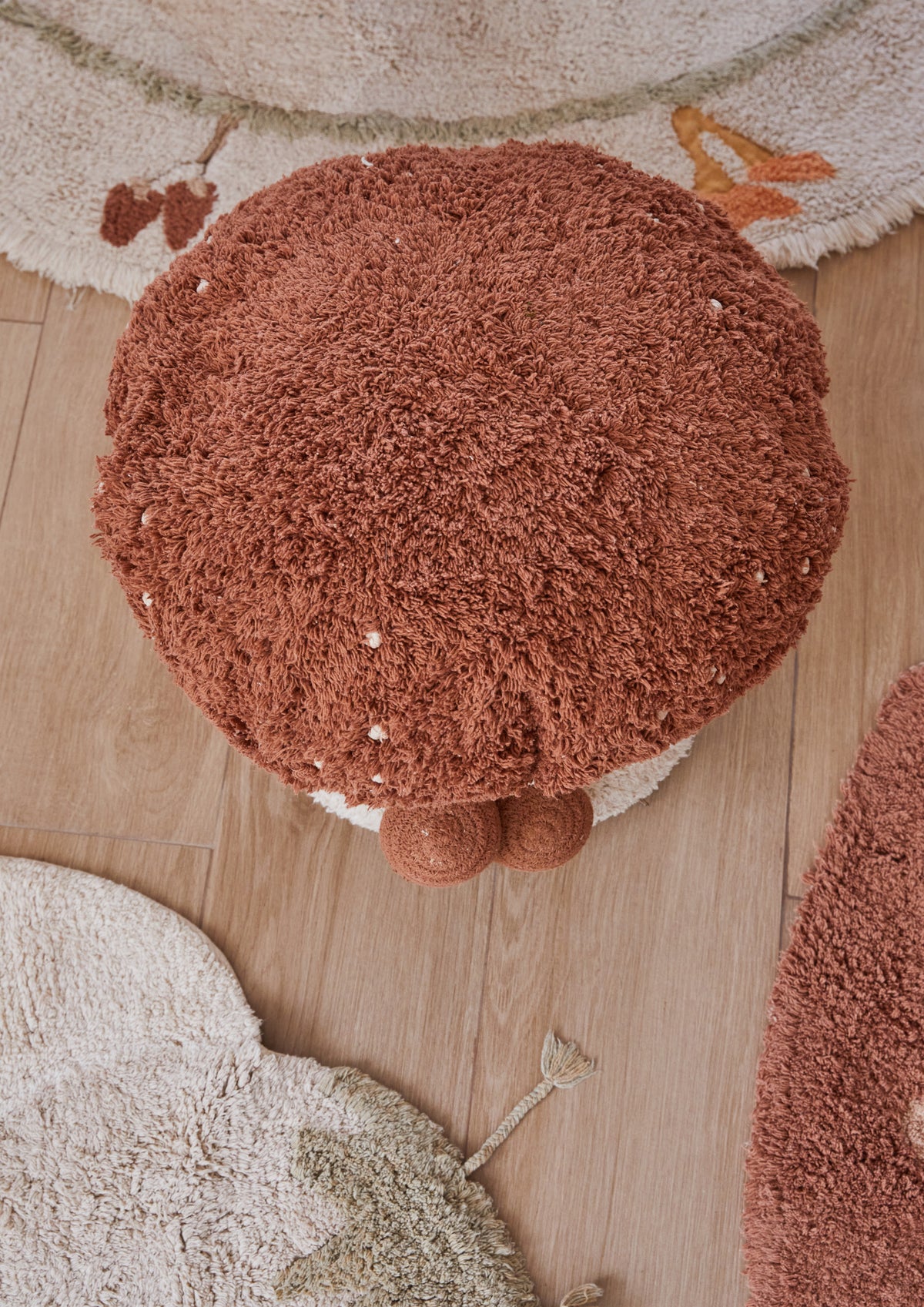 Mushroom Hunt, Rahi, Boletus