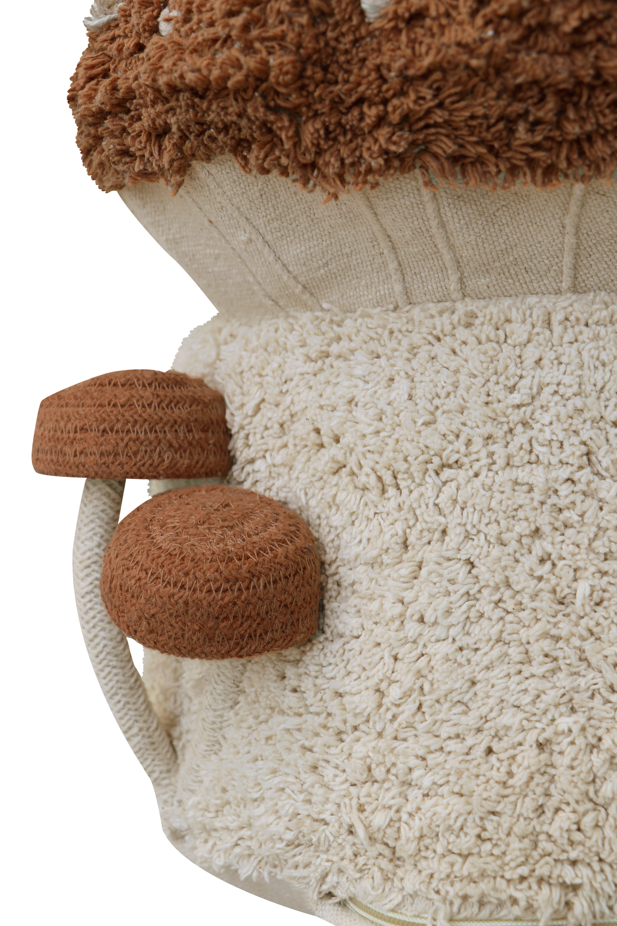 Mushroom Hunt, Rahi, Boletus