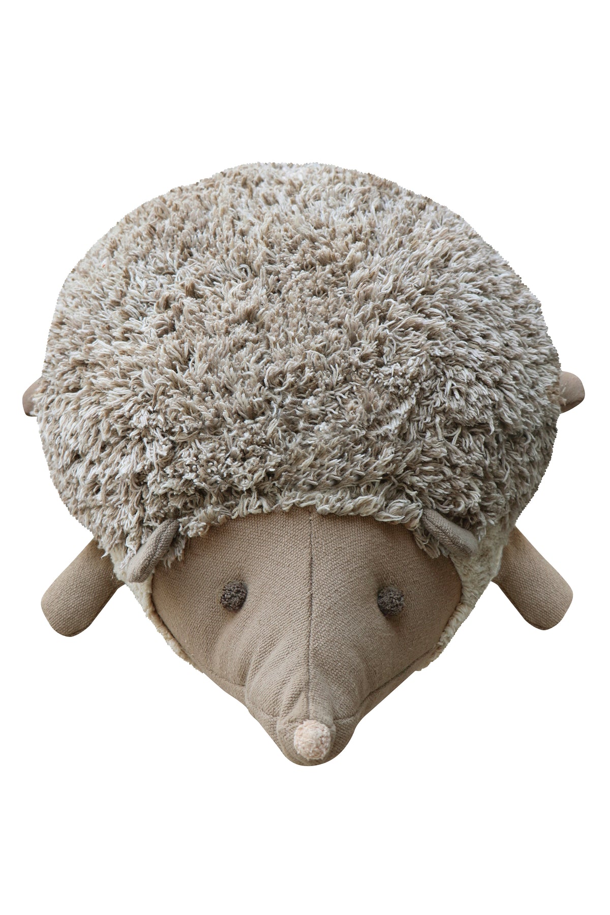 Mushroom Hunt, Lattiatyyny, Hengehog