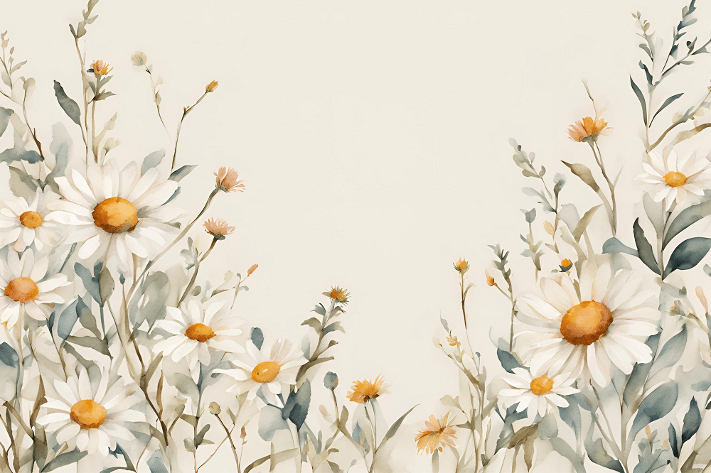 Photo wallpaper, Daisies