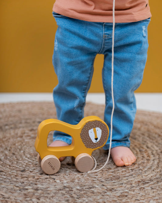 Trixie Baby Pull Toy Mr. Lion