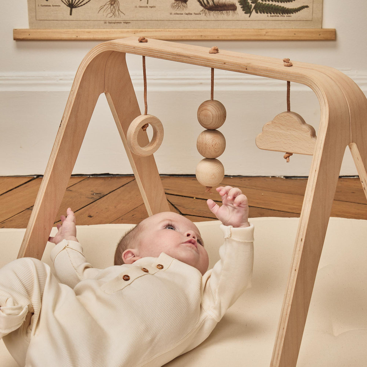 Charlie Crane, Toy arch NAHO