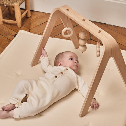 Charlie Crane, Toy arch NAHO