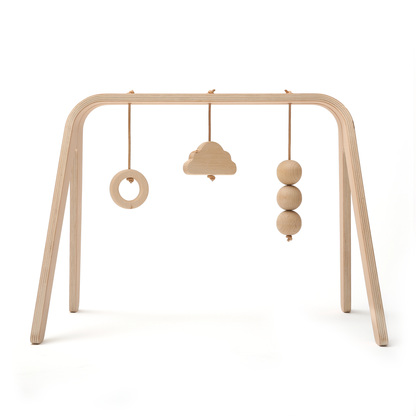 Charlie Crane, Toy arch NAHO