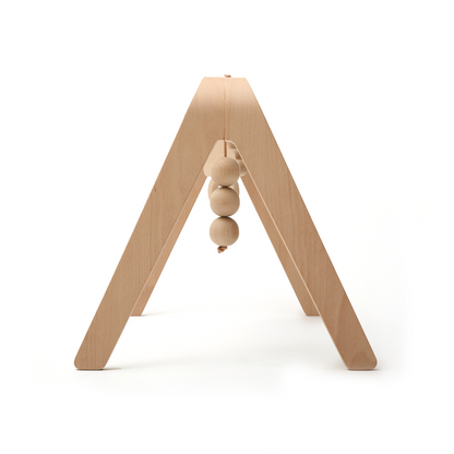Charlie Crane, Toy arch NAHO